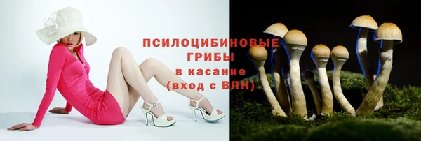 не бодяженный Ельня