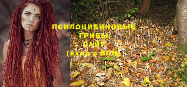 не бодяженный Ельня