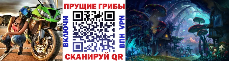 Псилоцибиновые грибы прущие грибы  Купить где  Яровое 